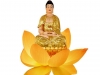 Ý Nghĩa Lễ Vía Phật A Di Đà